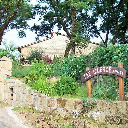 Appartamento Tre Querce Di Guerrini Patrizia Sorano  Ngoại thất bức ảnh
